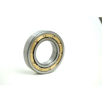 Single Row Radial Ball Bearing, 120 mm Bore, 260 mm OD, 55 mm Width, Open, Brass Retainer